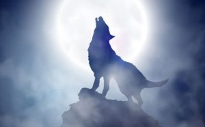 Cuentos populares: Mari Blanca y el lobo bueno
